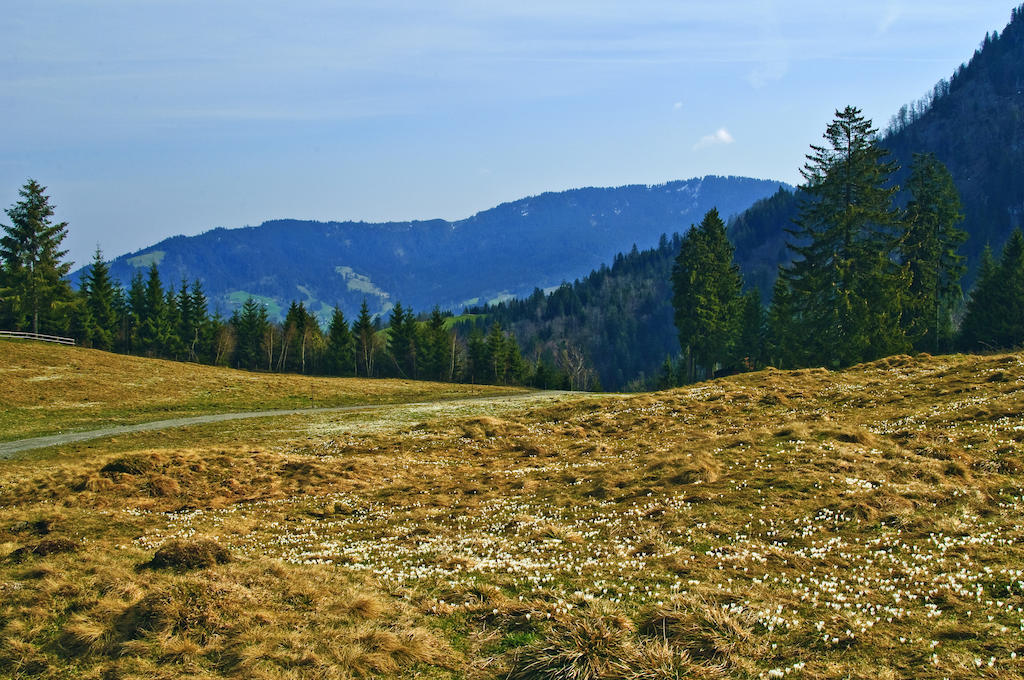 Motel Hohenems Kültér fotó